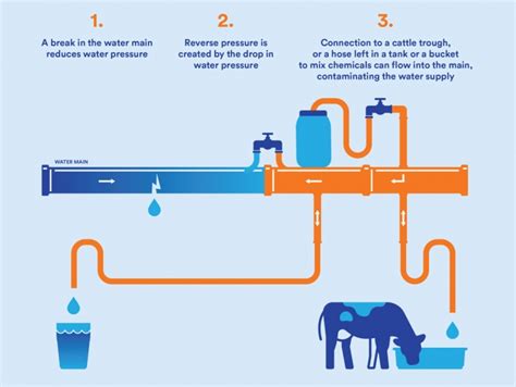 backflow through centrifugal pump|backflow preventer for potable water.